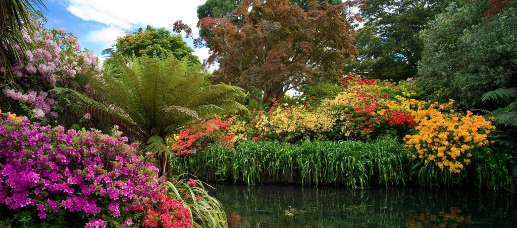Ilamgarden